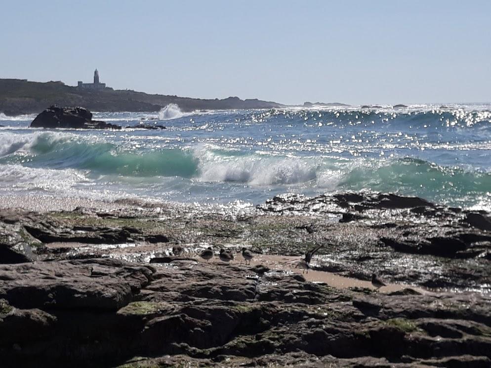 Hostal Balieiros Corrubedo Exterior foto
